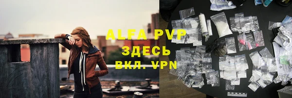 ПСИЛОЦИБИНОВЫЕ ГРИБЫ Белокуриха