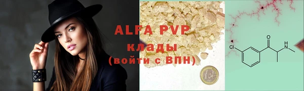 ПСИЛОЦИБИНОВЫЕ ГРИБЫ Белокуриха