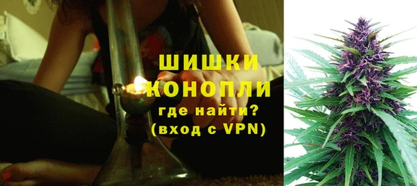 ПСИЛОЦИБИНОВЫЕ ГРИБЫ Белокуриха